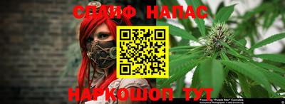 тгк Рыбинск