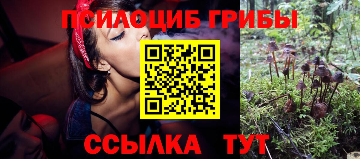 Новоуральск  Псилоцибиновые грибы прущие грибы  Вход с VPN  как найти закладки  Псилоцибиновые грибы Magic Shrooms 