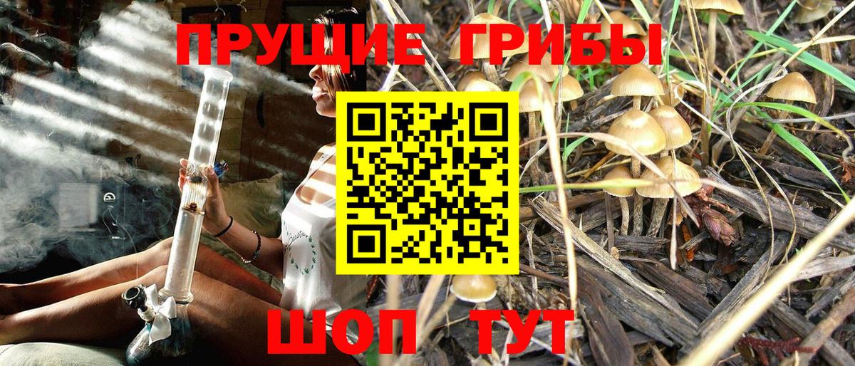 Псилоцибиновые грибы прущие грибы Новоуральск